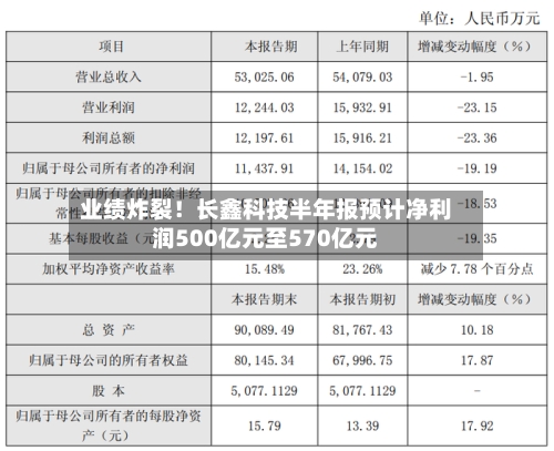 业绩炸裂！长鑫科技半年报预计净利润500亿元至570亿元-第3张图片