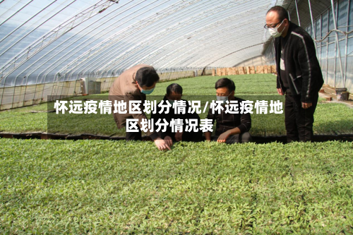 怀远疫情地区划分情况/怀远疫情地区划分情况表