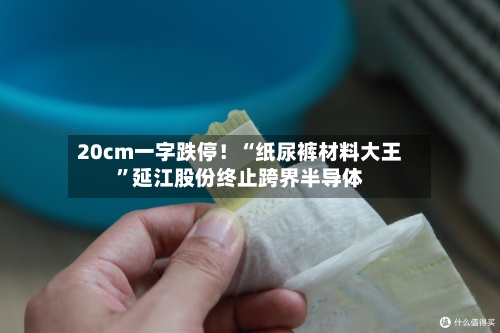 20cm一字跌停！“纸尿裤材料大王”延江股份终止跨界半导体-第2张图片