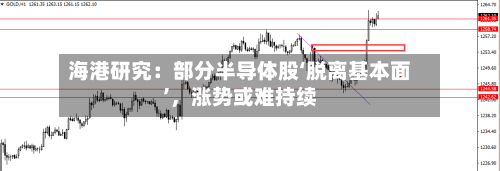 海港研究：部分半导体股‘脱离基本面’	，涨势或难持续-第2张图片