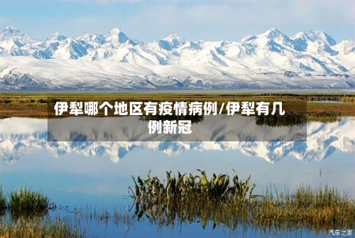 伊犁哪个地区有疫情病例/伊犁有几例新冠-第3张图片