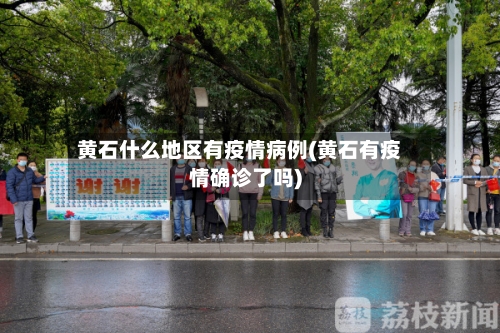 黄石什么地区有疫情病例(黄石有疫情确诊了吗)
