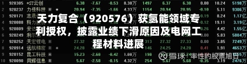 天力复合（920576）获氢能领域专利授权，披露业绩下滑原因及电网工程材料进展