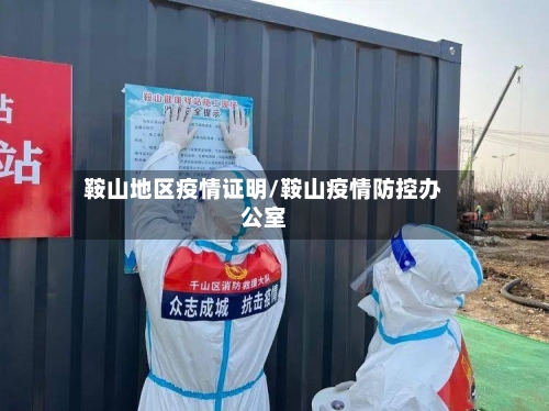 鞍山地区疫情证明/鞍山疫情防控办公室-第2张图片