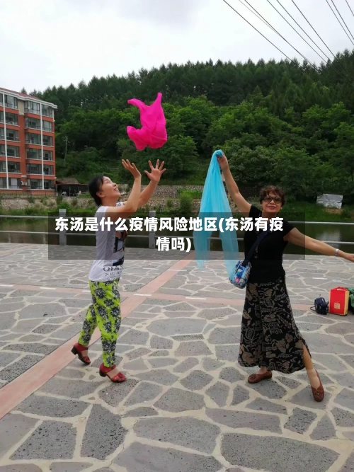东汤是什么疫情风险地区(东汤有疫情吗)-第2张图片