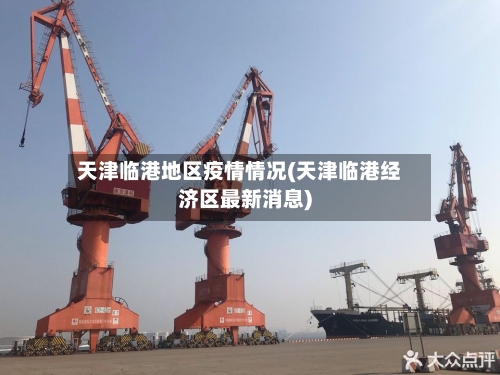 天津临港地区疫情情况(天津临港经济区最新消息)