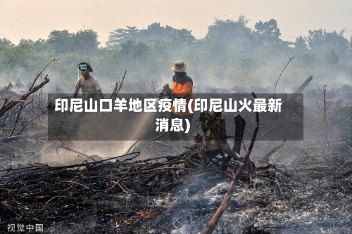 印尼山口羊地区疫情(印尼山火最新消息)