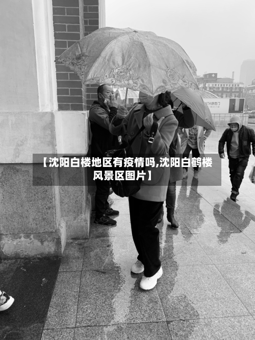 【沈阳白楼地区有疫情吗,沈阳白鹤楼风景区图片】-第2张图片