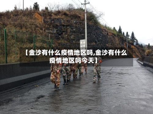 【金沙有什么疫情地区吗,金沙有什么疫情地区吗今天】-第2张图片