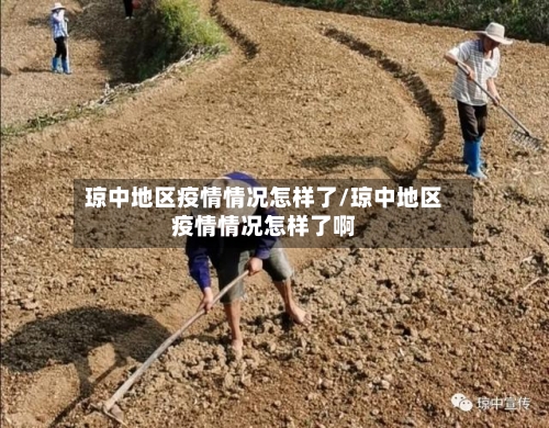 琼中地区疫情情况怎样了/琼中地区疫情情况怎样了啊