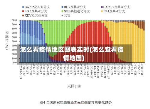 怎么看疫情地区图表实时(怎么查看疫情地图)-第3张图片