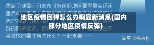 地区疫情回弹怎么办啊最新消息(国内部分地区疫情反弹)-第2张图片