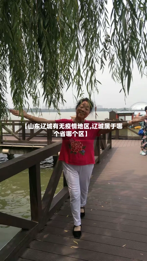 【山东辽城有无疫情地区,辽城属于哪个省哪个区】