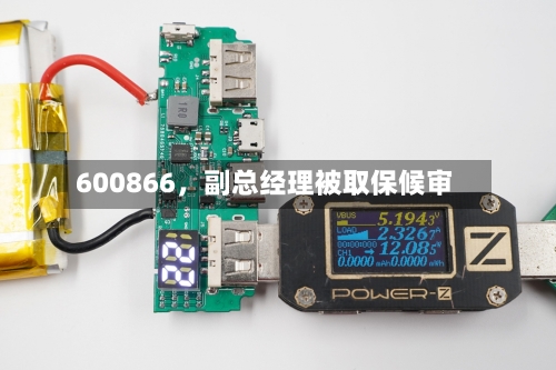 600866	，副总经理被取保候审-第2张图片